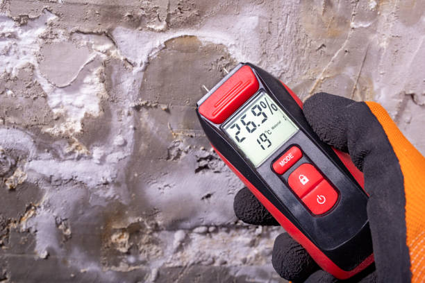 Best Toxic Mold Removal  in Oak Point, TX