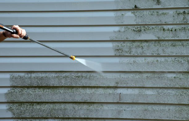 Best Local Mold Removal Service  in Oak Point, TX