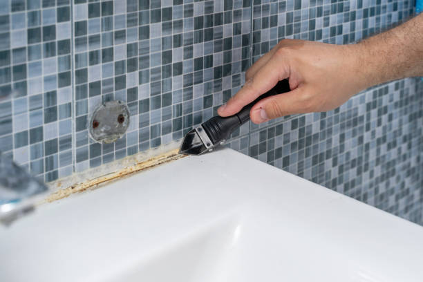 Best Residential Mold Removal  in Oak Point, TX