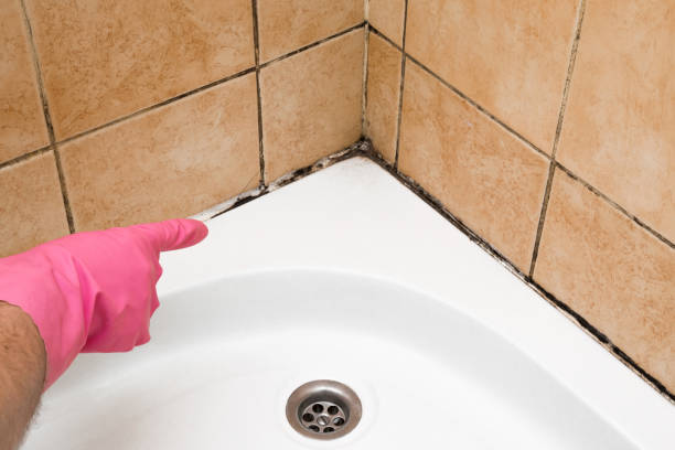 Best Mold Testing and Removal  in Oak Point, TX